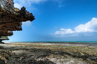 Low tide on beach in Zanzibar and blue sky clipart
