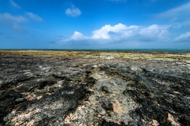 Düşük tide Zanzibar plajda