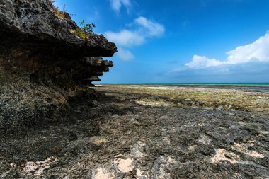 Düşük tide Zanzibar ve mavi gökyüzü plajda