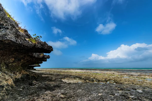 잔지바르와 푸른 하늘에 해변에 썰 — 스톡 사진