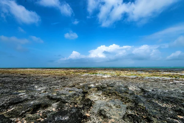 Marea baja en la playa de Zanzíbar — Foto de Stock