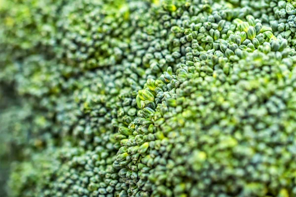 Décryptages texture brocoli vert — Photo