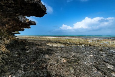 Düşük tide Zanzibar ve mavi gökyüzü plajda
