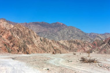 Mısır'daki çölde yol