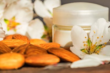 Badem, krem ve beyaz çiçekler, koyu arka plan