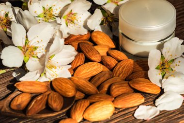 Badem, krem ve beyaz çiçekler, koyu arka plan