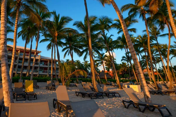 Solstolar på stranden i Dominikanska Republiken — Stockfoto