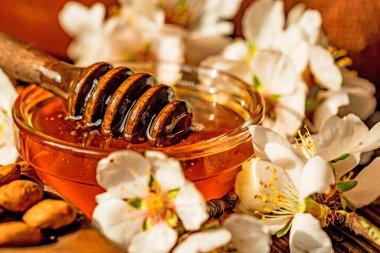 Bal badem, fındık ve beyaz çiçekler kapatın