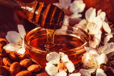 Bal badem, fındık ve beyaz çiçekler kapatın