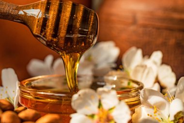 Bal badem, fındık ve beyaz çiçekler kapatın