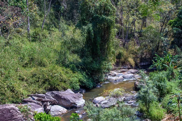 Тайский пейзаж с деревьями и узкой рекой — стоковое фото