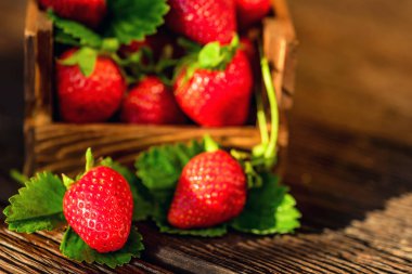 Ahşap kutusunda yakın yaprakları ile taze çilek