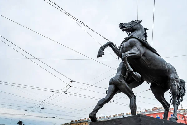 Pogromca rzeźba konia w Sankt Petersburgu — Zdjęcie stockowe