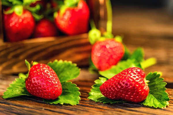 Fresh strawberries with leaves in wooden box close — Stock Photo, Image