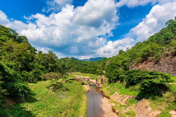 Paisaje de puente sobre río en selva — Foto de Stock