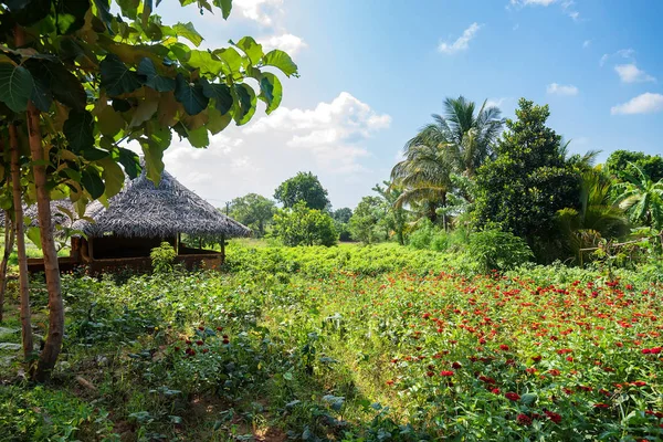 Dom w miejscowości w Sri Lanka — Zdjęcie stockowe