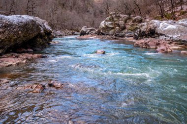 Dağ nehri ve orman manzarası