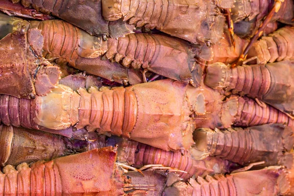 Crayfish fundo venda no mercado na Tailândia — Fotografia de Stock