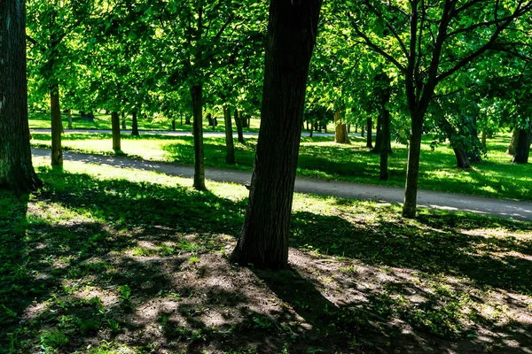 Bela vista do parque Peterhof em St.Petrsburg — Fotografia de Stock