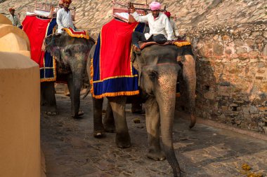 Jaipur, Hindistan - Kasım 2017 yaklaşık: Kimliği belirsiz fil sürmek