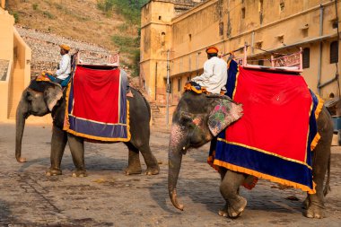 Jaipur, Hindistan - Kasım 2017 yaklaşık: Kimliği belirsiz fil sürmek