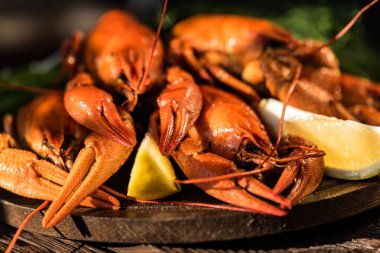 Rustik ahşap zemin üzerine haşlanmış kerevit