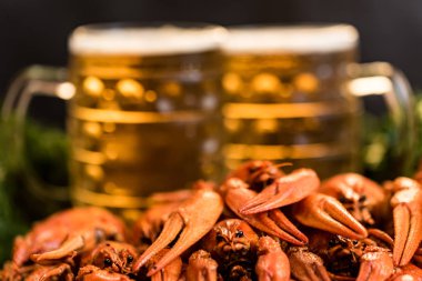 Ahşap arka plan üzerinde bira ile haşlanmış kerevit