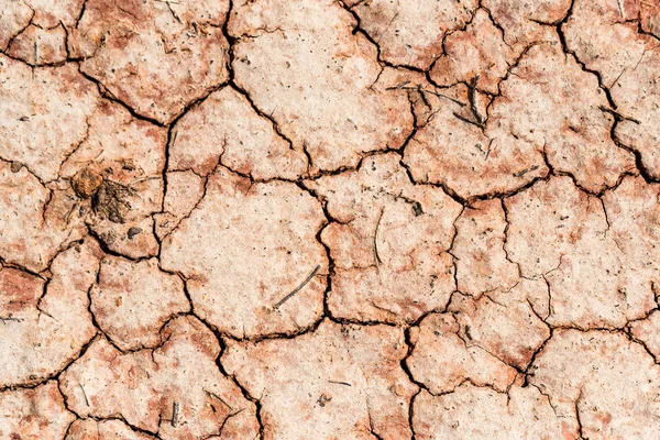 Trockene salzhaltige Bodenoberfläche für die Hintergrundstruktur — Stockfoto