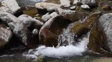 dağ dere yakın çekim