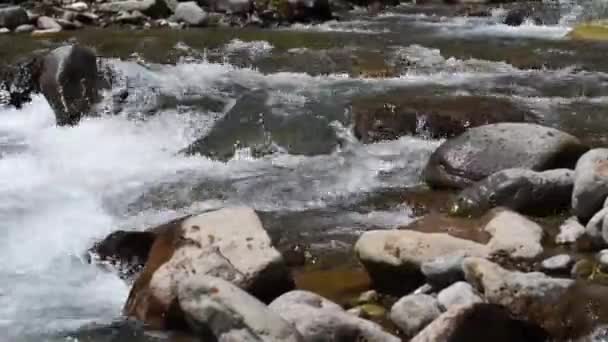 Primer plano del arroyo de montaña — Vídeos de Stock