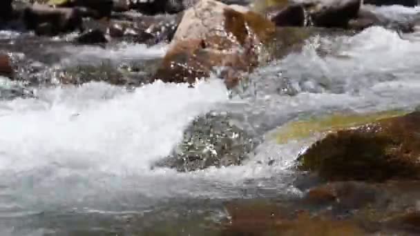 A hegyi patak közelsége — Stock videók