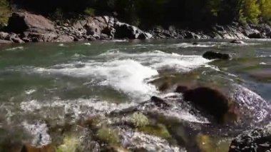 Dağ nehri ile sonbahar manzarası