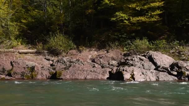 Paysage d'automne avec rivière de montagne — Video