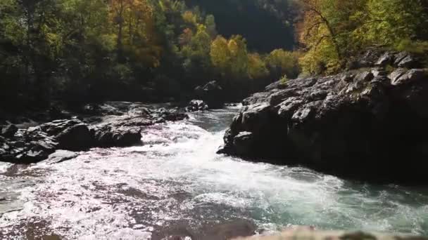 Outono paisagem com rio de montanha — Vídeo de Stock