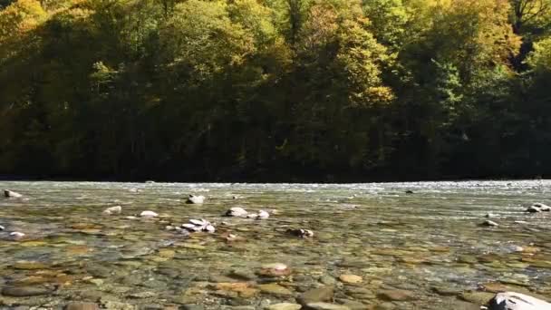 Jesienny krajobraz z górską rzeką — Wideo stockowe