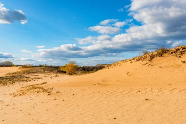 Paysage semi-désertique avec des traces sur le sable le jour ensoleillé d'automne — Photo