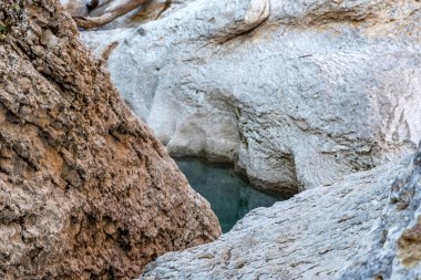 Temiz suyla birlikte hızlı, dar bir dağ nehri ile sonbahar manzarası