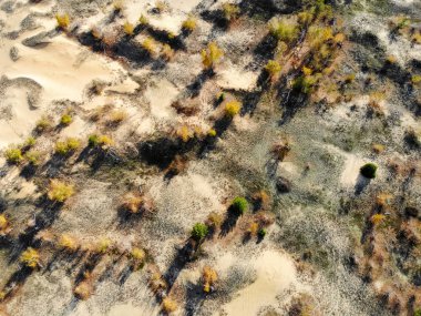 Sonbaharda insansız hava aracı tarafından alınan kumların üzerinde izleri olan yarı çöl manzarası.