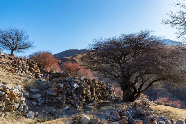 Zicht op oude verlaten balkar dorp en bomen in de noordelijke Kaukasus — Stockfoto