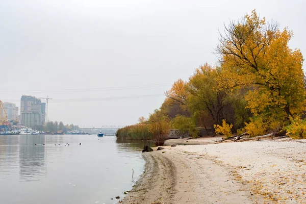 Vacker natur och höstlandskap med gula träd på stranden av Don River — Stockfoto