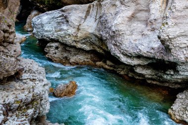 Temiz suyla birlikte hızlı, dar bir dağ nehri ile sonbahar manzarası