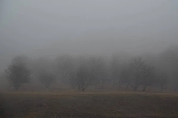 Темна туманна осінь вид на сільську місцевість вранці — стокове фото