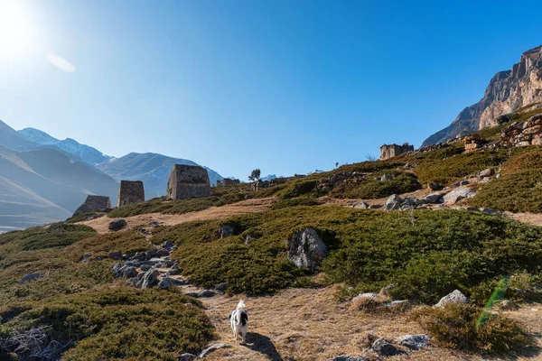 Άποψη των μεσαιωνικών τάφων στην πόλη των νεκρών κοντά Eltyulbyu, Sunny Ρωσία το φθινόπωρο — Φωτογραφία Αρχείου