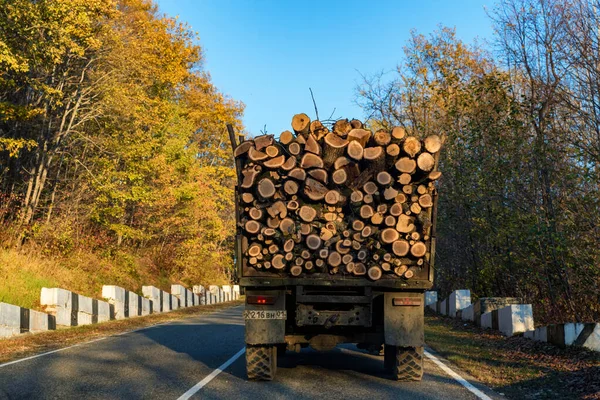 Náklaďák vezoucí dřevěné klády v podzimní krajině. Zadní pohled. — Stock fotografie