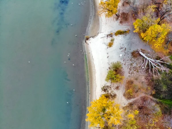 Don nehrinin kıyısında sarı ağaçlarla kaplı sonbahar manzarası — Stok fotoğraf