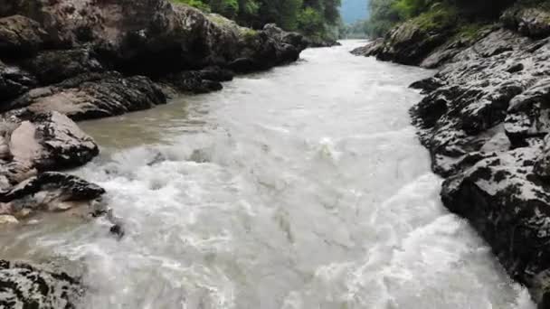 Paisaje de verano con río de montaña — Vídeos de Stock