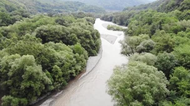 Dağ nehri ile yaz manzarası — Stok video