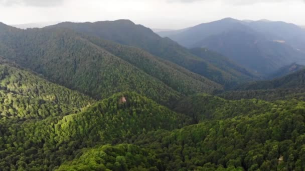 Vuelo sobre bosque de montaña en verano — Vídeos de Stock