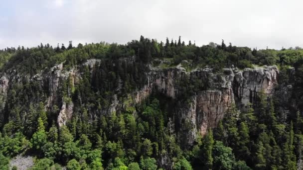 Vol au-dessus de la forêt de montagne en été — Video