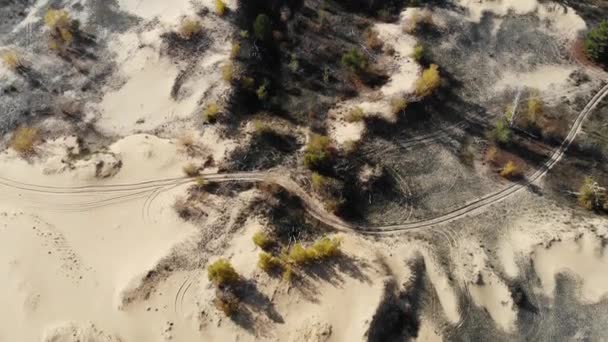 Sonbahar ağaçlarıyla kum tepeleri üzerinde uçmak — Stok video